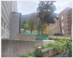  2025Ÿ��768  ����Ʈ��������