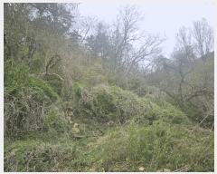  2025Ÿ850 뱸 ޼   266      ()