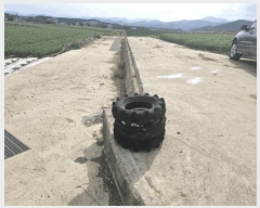  2025Ÿ850 뱸 ޼   764      ()