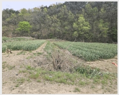  2025Ÿ850 뱸 ޼   764      ()