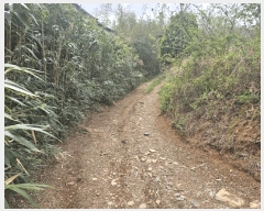  2025Ÿ850 뱸 ޼   764      ()