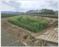  2025Ÿ850 뱸 ޼   764      ()