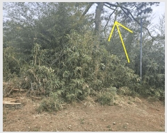  2025Ÿ850 뱸 ޼   764      ()