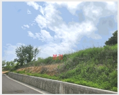  2025Ÿ1105 뱸 ޼ ǳ ϸ 413-2      (1)