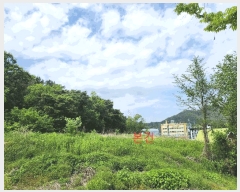  2025Ÿ1105 뱸 ޼ ǳ ϸ 413-2      (1)