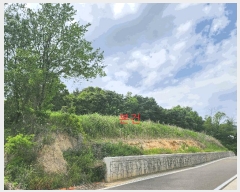  2025Ÿ1105 뱸 ޼ ǳ ϸ 413-2      (1)