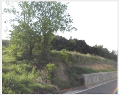  2025Ÿ1105 뱸 ޼ ǳ ϸ 413-2      (1)