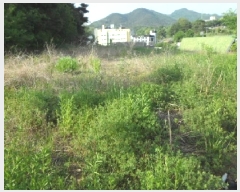  2025Ÿ1105 뱸 ޼ ǳ ϸ 413-2      (1)