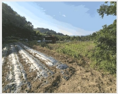  2025Ÿ��1211 �뱸 �޼��� ȭ���� ���� 955      ����(��1)���