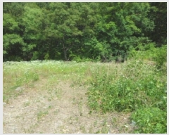  2025Ÿ��1211 �뱸 �޼��� ȭ���� ���� 955      ����(��1)���