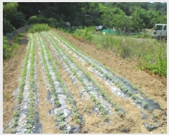  2025Ÿ��1211 �뱸 �޼��� ȭ���� ���� 955      ����(��1)���