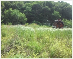  2025Ÿ��1211 �뱸 �޼��� ȭ���� ���� 955      ����(��1)���