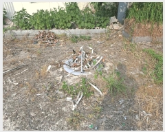  2025Ÿ1273  ɱ ָ հ 630-3      Ұ