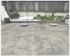  2025Ÿ1273  ɱ ָ հ 630-3      Ұ