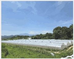  2025Ÿ1839  ֱ  긮 1104      ()