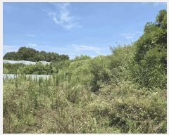  2025Ÿ1839  ֱ  긮 1104      ()