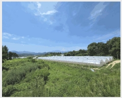  2025Ÿ1839  ֱ  긮 1100 1     ,â