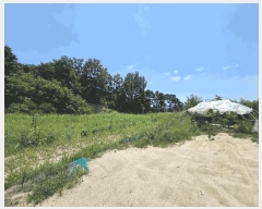  2025Ÿ1839  ֱ  긮 1100 1     ,â