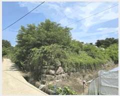  2025Ÿ1839  ֱ  긮 1100 1     ,â