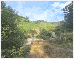  2025Ÿ1938  ֱ  뼺 90      (1)