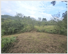  2025Ÿ1938  ֱ  뼺 90      (1)