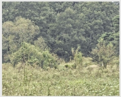  2025Ÿ1938  ֱ  뼺 90      (1)