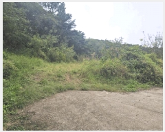  2025Ÿ1938  ֱ  뼺 90      (1)