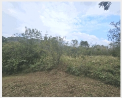  2025Ÿ1938  ֱ  뼺 90      (1)