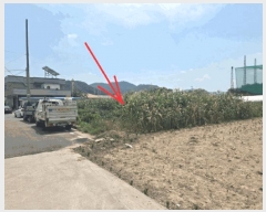  2025Ÿ��2177 ��� ���ɱ� �밡���� ��⸮ 103-1      ����(��1)���