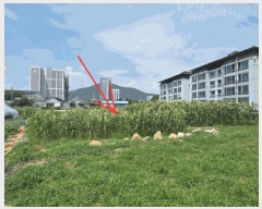  2025Ÿ��2177 ��� ���ɱ� �밡���� ��⸮ 103-1      ����(��1)���