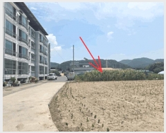  2025Ÿ��2177 ��� ���ɱ� �밡���� ��⸮ 103-1      ����(��1)���