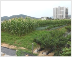  2025Ÿ��2177 ��� ���ɱ� �밡���� ��⸮ 103-1      ����(��1)���