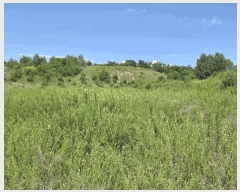  2025Ÿ��2245  �Ӿ߰��