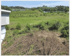  2025Ÿ��2245  �Ӿ߰��