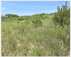  2025Ÿ��2245  �Ӿ߰��