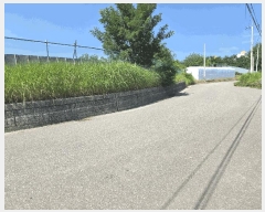  2025Ÿ��2245  �Ӿ߰��