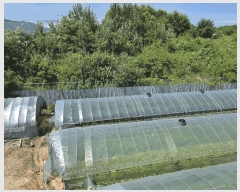  2025Ÿ��2245  �Ӿ߰��