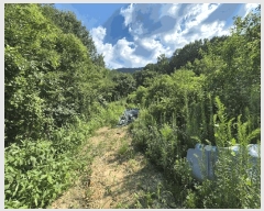  2025Ÿ2290 뱸 ޼  ̸ 700      (1)