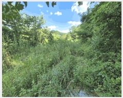  2025Ÿ2290 뱸 ޼  ̸ 700      (1)