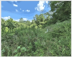  2025Ÿ2290 뱸 ޼  ̸ 700      (1)