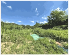  2025Ÿ2290 뱸 ޼  ̸ 700      (1)