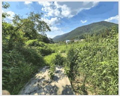  2025Ÿ2290 뱸 ޼  ̸ 700      (1)