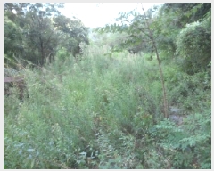  2025Ÿ2290 뱸 ޼  ̸ 700      (1)