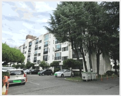  2025Ÿ��2412  ����Ʈ���