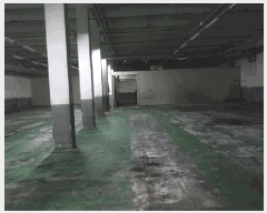  2025Ÿ2474 뱸 ޼  ̸ 868      