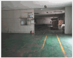  2025Ÿ2474 뱸 ޼  ̸ 868      