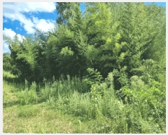  2025Ÿ2535  ֱ ׸  131-2      (1)