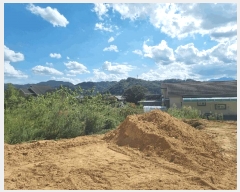  2025Ÿ2535  ֱ ׸  131-2      (1)