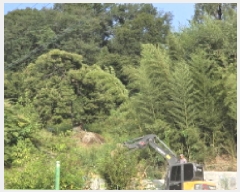  2025Ÿ2535  ֱ ׸  131-2      (1)