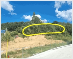  2025Ÿ2535  ֱ ׸  131-2      (1)